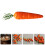 75Pièces Mini Carottes Artificielles Polyfoam Multicolores Décoration 8