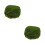 2pcs Simulation Natural Dried Moss Home Flowerpot Ornament 5