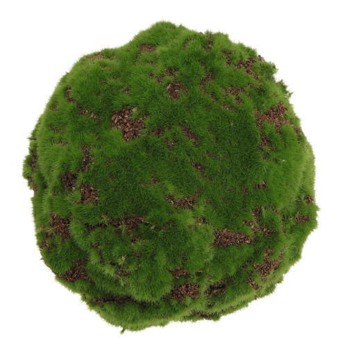 2pcs Simulation Natural Dried Moss Home Flowerpot Ornament 1