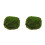 2pcs Simulation Natural Dried Moss Home Flowerpot Ornament 3