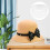 6Pcs Transparent Plastic Hat Shaper Insert Adjustable Dome Hat Support 3
