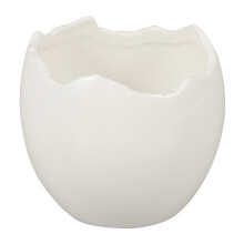 Eivormige Dessertbowl 50 Ijs Fruit Moleculaire