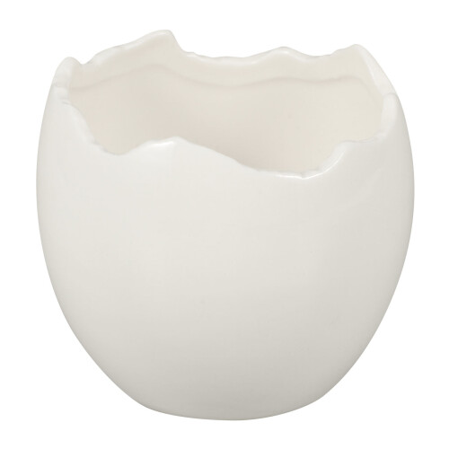 Eivormige Dessertbowl 50 Ijs Fruit Moleculaire