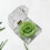 2pcs Preserved Eternity Rose Gift with Drawer Box 10