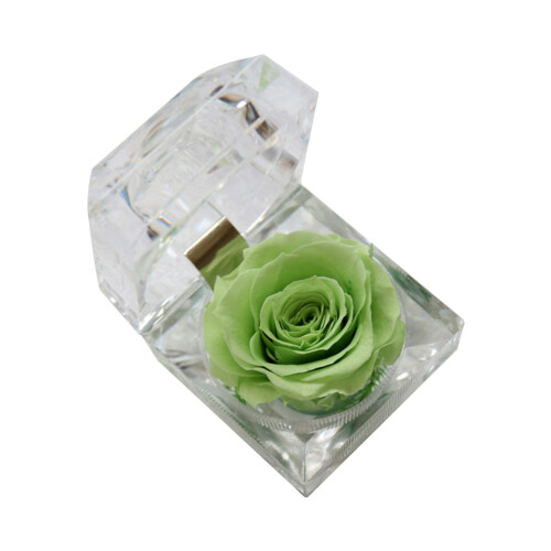 2pcs Preserved Eternity Rose Gift with Drawer Box