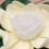 6pcs Lotus Light Pool Buddha Light 10