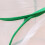 Foldable Insect Cage 30x30x30cm with Handle Strap and Zipper Net 11