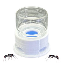 Ant Feeding Bowl with Bee Liquid Station, Anti-Drowning Feeder, Transparent Drinking Bowl for Ants, Bees, Crickets, 1.42x1.5 Inches