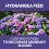 Vitax Hydrangea Feed Liquid & Granular Fertiliser for Blooms 9