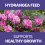 Vitax Hydrangea Feed Liquid & Granular Fertiliser for Blooms 11