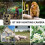 8K Wildlife Trail Camera 60MP Waterproof 120 Night Vision 3