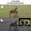 8K Wildlife Trail Camera 60MP Waterproof 120 Night Vision 8