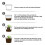 (100g) Plant Rooting Powder Multipurpose Universal Hormone Root Fertilizer Easy Operation 2