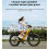 ENGWE Bicicleta elétrica VTC - ENGWE - E26 ST - 26 polegadas - Motor 250W - Autonomia 140km - Suspensão dupla 3