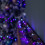 Premier 50m 2000 LED TreeBrights Christmas String Lights with Timer in Blue, White & Purple 1