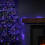 Premier 50m 2000 LED TreeBrights Christmas String Lights with Timer in Blue, White & Purple 3