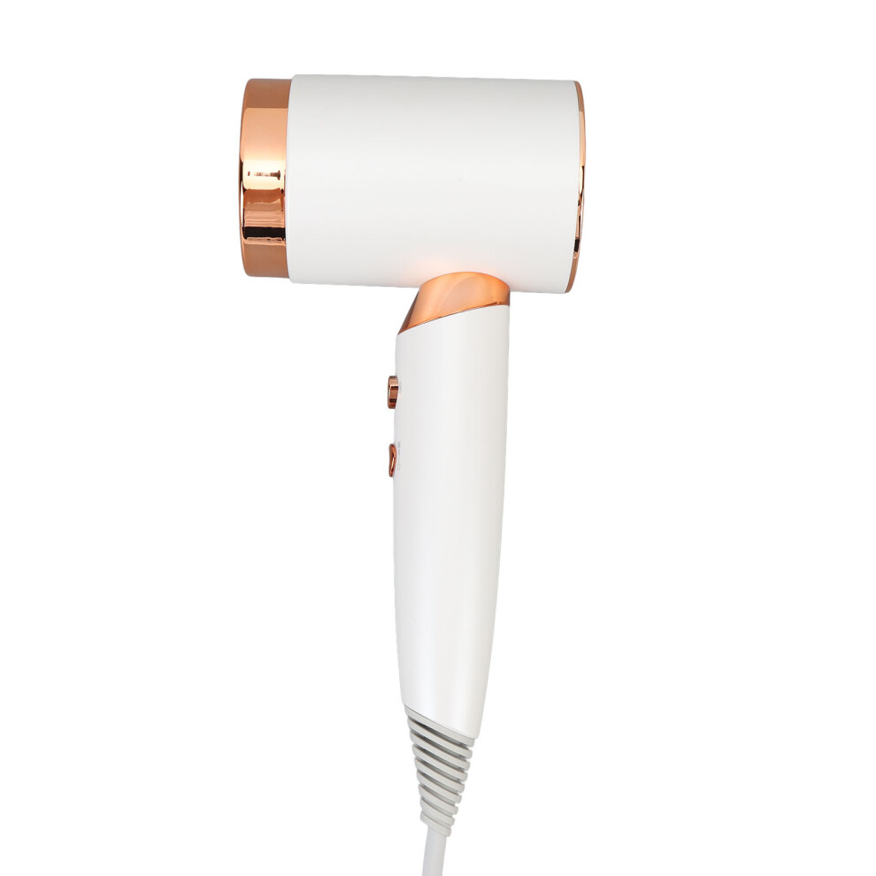 Negative Ion Hair Dryer 1400W 20000Rpm Low Noise White 4611346419904
