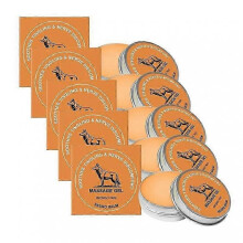 (5PCS) 1-5PCS Therawolf Nerve-Relief Balm Supports Joint Flexibility Mobility for Outdoor Activities Support