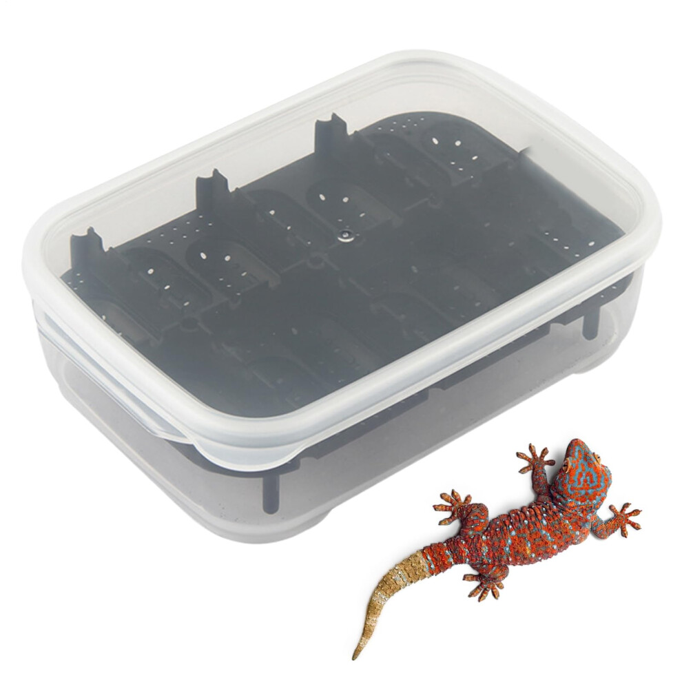 Snake Terrarium | 14 Grid Transparent Gecko Hatching Basin Breeding Box for Reptiles, Scorpions, and Spiders