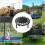 Mini Trampoline 165 Lbs Max Load Foldable Silent Stable Jumping Bed for Indoor Exercise Green 5