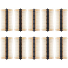 Lice Combs 10pcs Double-Sided Fine Tooth Combs for Head Lice and Flea Removal for Kids and Adults in Black