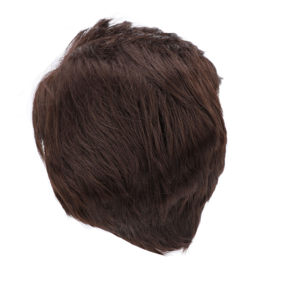 Men Wig High Temp Fiber for Middle-aged Daily Party Cosplay 100g
