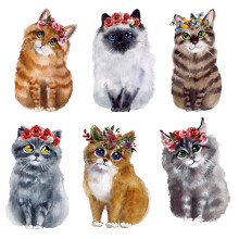 6pcs Removable Static Cling Bird Window Stickers Colorful Cat Design PVC Film Floral Decoration for Summer Safety
