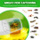 2PCS Plastic Grasshopper Catcher with Ergonomic Handle for Kids 3