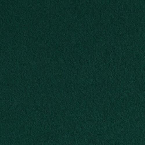 Feutre synthétique - Vert - Mixte - Haute qualité 1