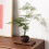 Retro Wooden Tray,Rectangular Desktop Display Rack 9