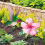 Decorative Garden Inserts Lawn Flower Sign Stakes 5