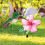 Decorative Garden Inserts Lawn Flower Sign Stakes 7