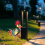 Outdoor Metal Rooster Yard Statue Decoration Decor 4