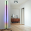 Heightening Smart Floor Lamp RGB Remote Control No 4