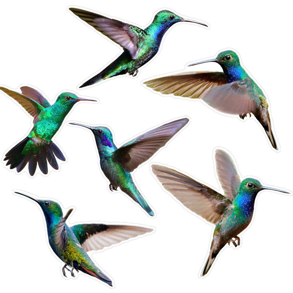 2Pcs Bird Friendly Window Clear Cling Stickers Static-Cbcjd204 7755000136183