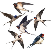 Stylishs Bird Friendly Window Stickers AntiCollision-CBCJD206