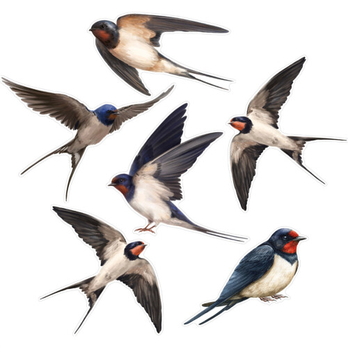 Stylishs Bird Friendly Window Stickers AntiCollision-CBCJD206