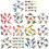 Stylishs Bird Friendly Window Stickers AntiCollision-CBCJD206 2