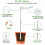 Vækstlys, spektrum LED-plantelys til indendørs planter 4