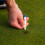 Callaway Callaway Par Tee Plastic Golf Tees 10 Pack Blue 4
