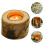 Birch Wood Trunk Tea Light Holder Candlestick 11