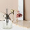 1pc Glass Plant Mister Spray Bottle 8