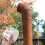 2 Pcs Round PVC Chimney Cap with Drain Filter for Roof Vent 4