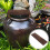 Lichtbruin Vis Aquarium Bord Decoratie 4