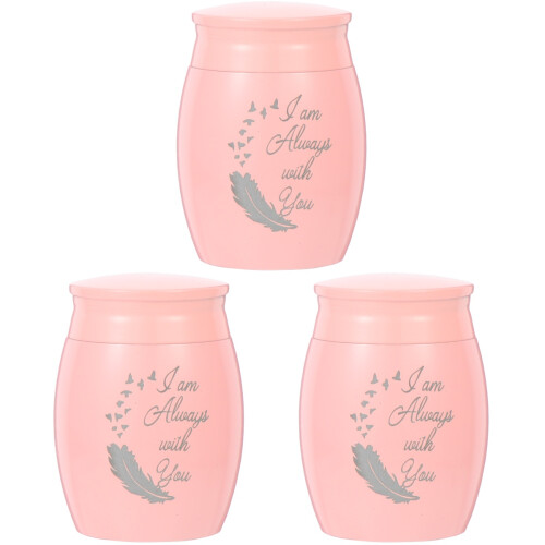 3 Count Pet Carrier Auto Urn Small Ashes Container 1