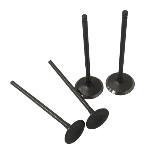 Motorauslassventile Einlass-Ansaugschaft-Kit für 200NS 2