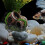 Large Fish Tank Decorations Resin Broken Barrel Multi 1pcs 3
