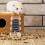 Fun Small Pet Ladder Part Acrylic Transparent 1pcs 4