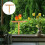 2 Count Bird Cage Perch Parrot Gym Stand Decorative Cages For Parrots 9