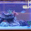 1 Set Household Oxygen Diffuser Air Bubbler for Aquarium 10